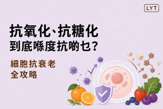 抗氧化、抗糖化到底在「抗」甚麼？一次看懂自由基、AGEs與日常飲食