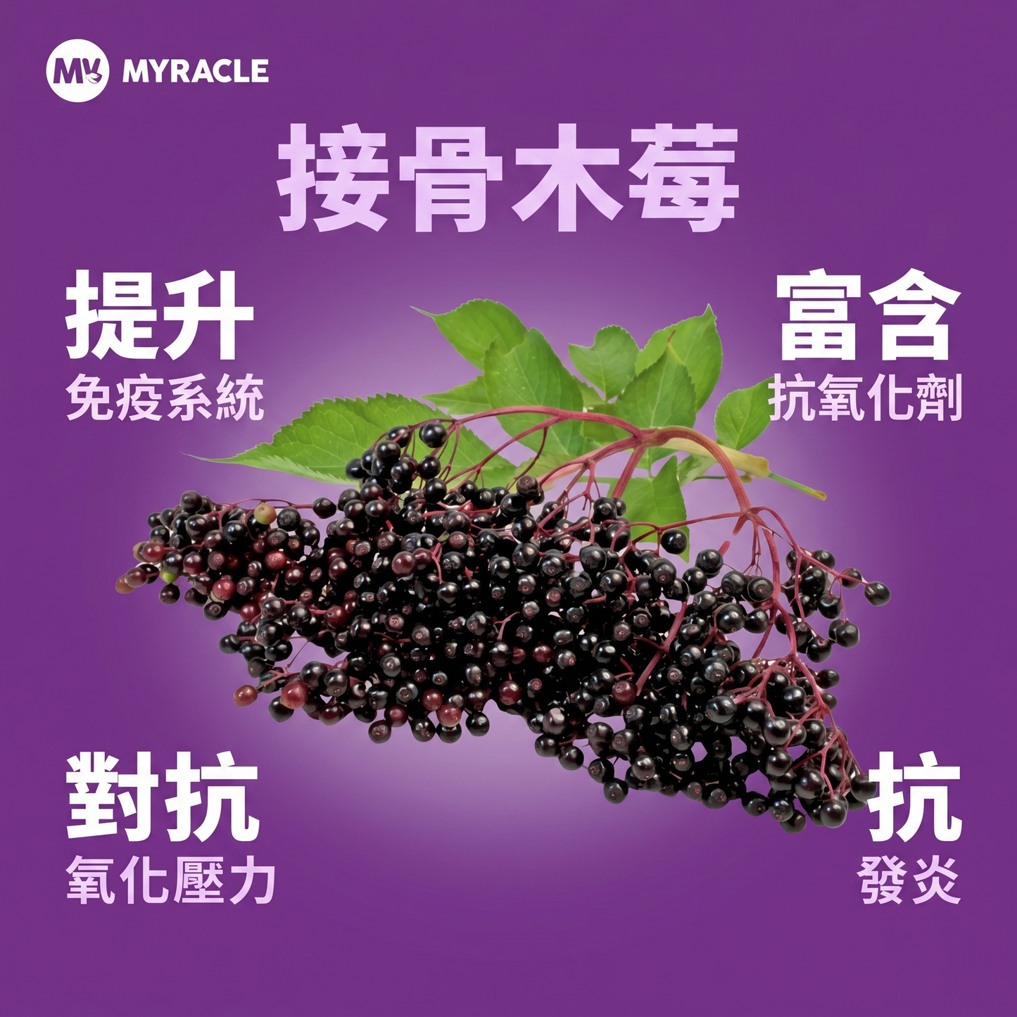PosBion Elderberry Drink 接骨木莓後生元飲 15ml x 10條