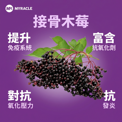 PosBion Elderberry Drink 接骨木莓後生元飲 15ml x 10條