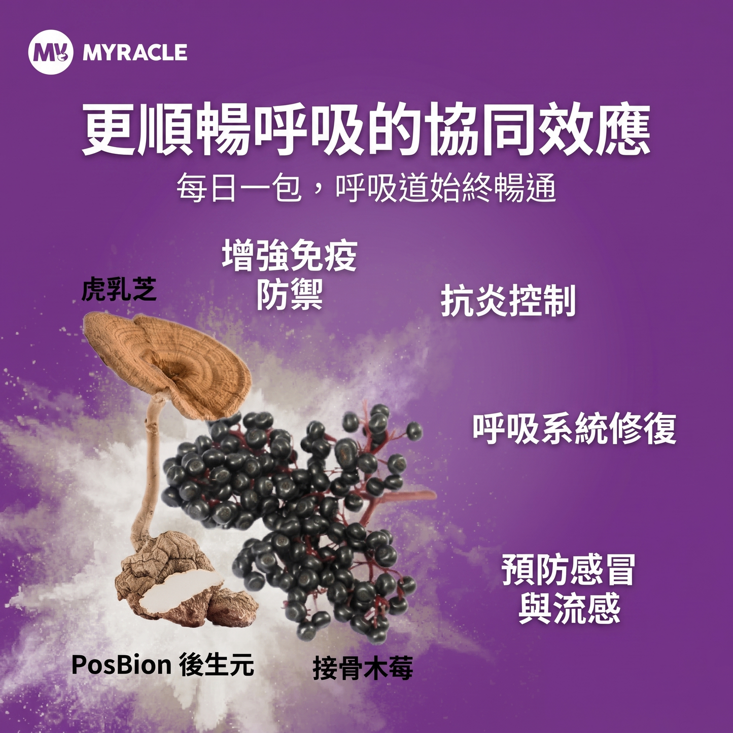 PosBion Elderberry Drink 接骨木莓後生元飲 15ml x 10條